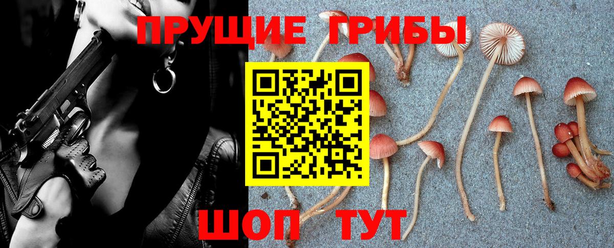 магазин  наркотиков  Галлюциногенные грибы Psilocybine cubensis  Псилоцибиновые грибы Cubensis  Вход с VPN  Выкса 