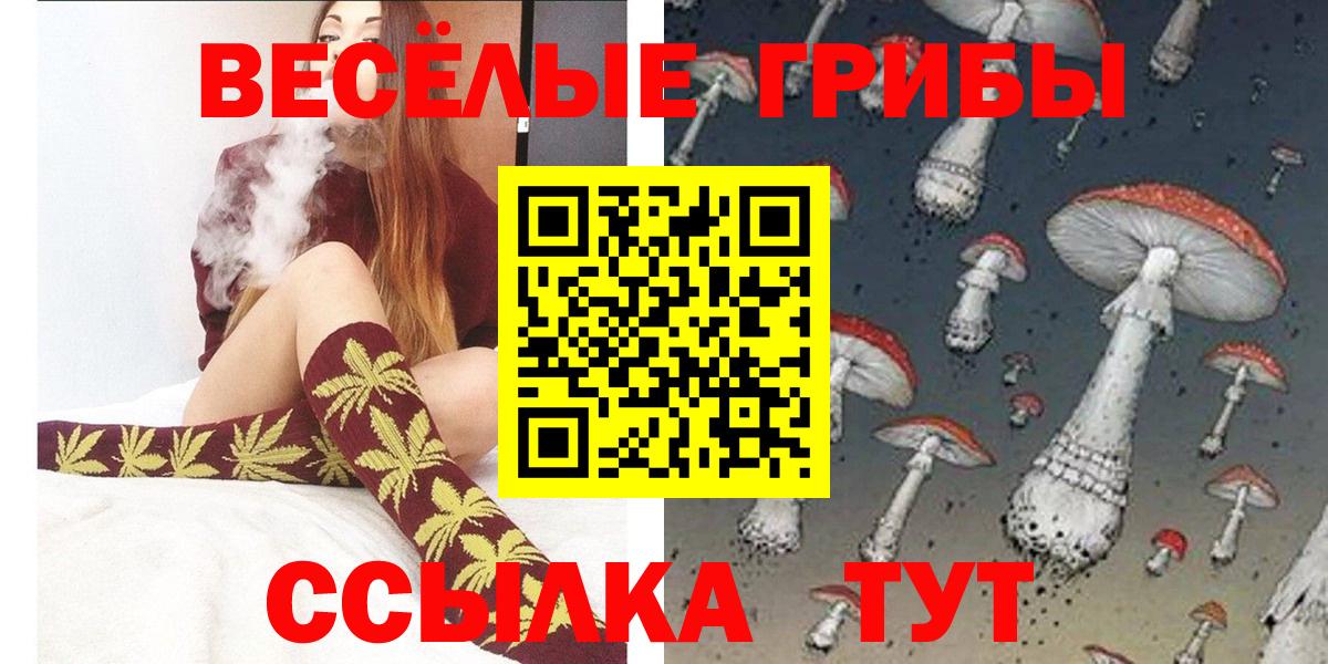 Псилоцибиновые грибы Psilocybe Выкса